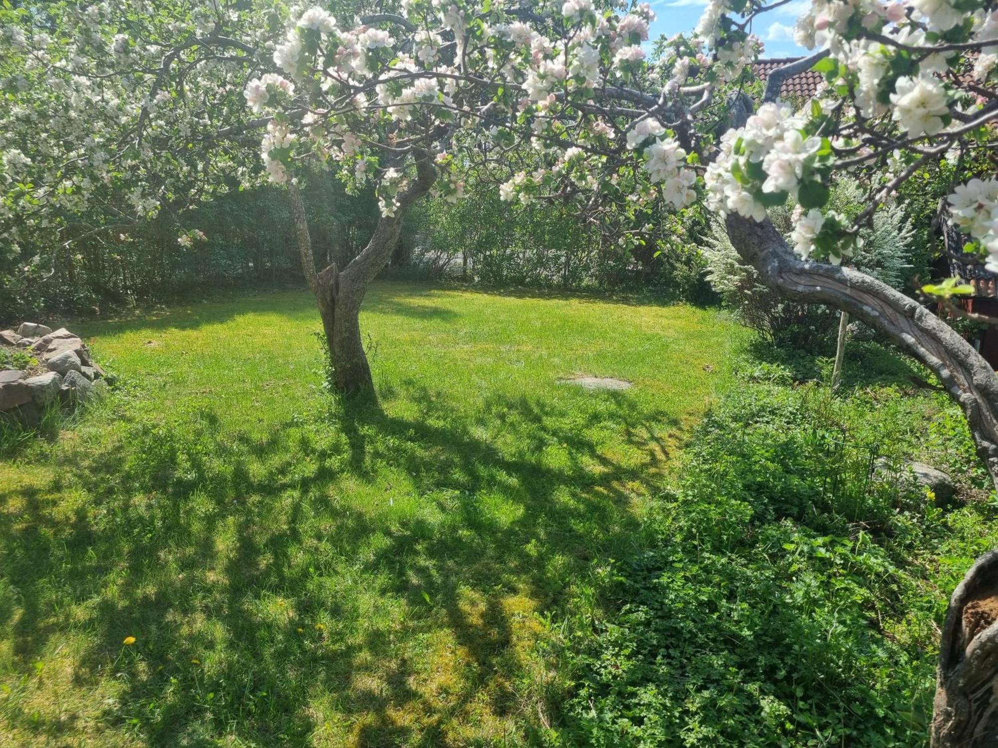 Saellinge House - Cozy Villa With Fireplace And Garden Close To Ουψάλα Εξωτερικό φωτογραφία
